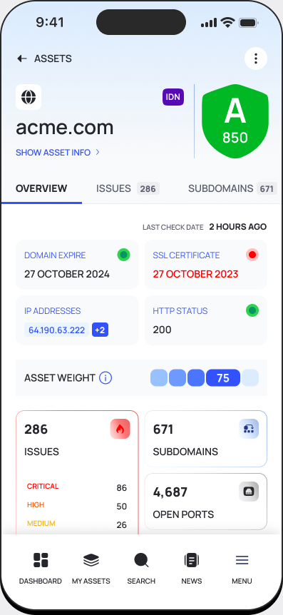 Deepinfo Mobile asset detail screen